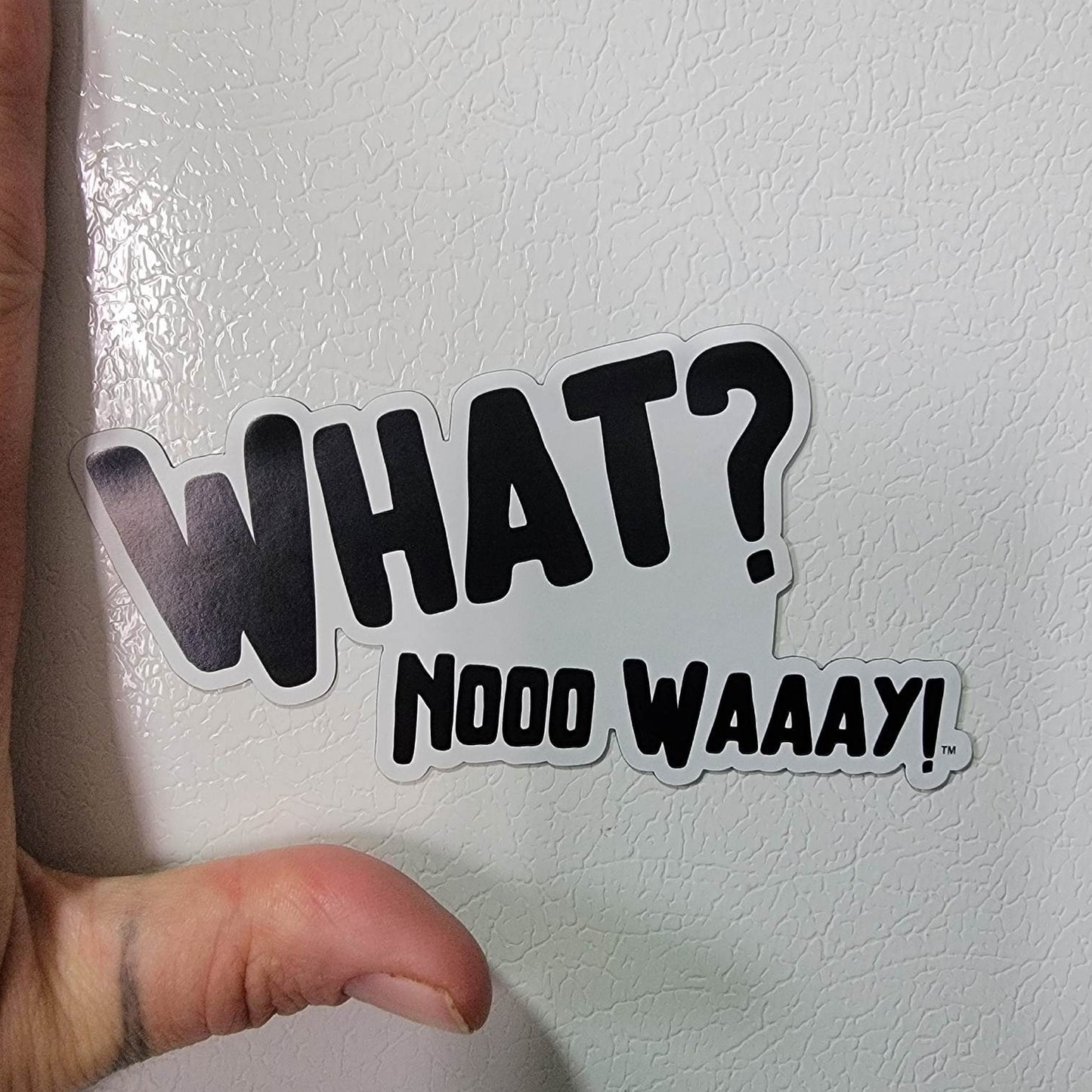 Fridge Magnets